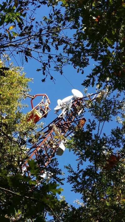 Antenna Linefiber